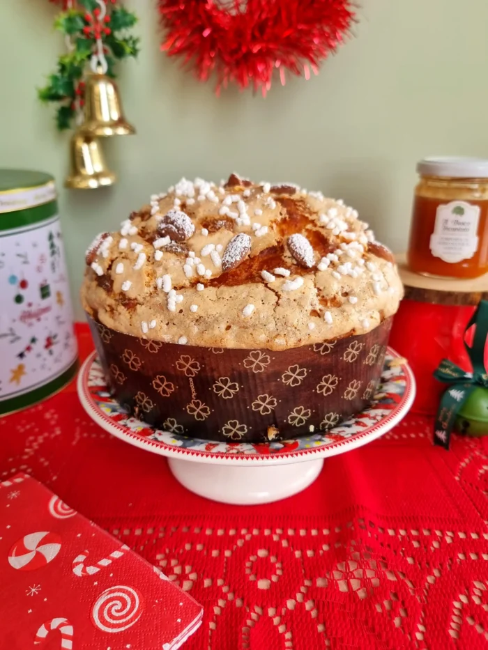 panettone artigianale senza glutine con albicocca pellecchiella e glassa mandorlata